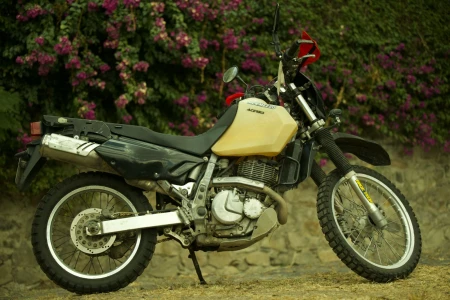 Suzuki DR650