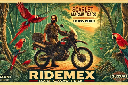 Track 8 Scarlet Macaws Track 8 Scarlet Macaws